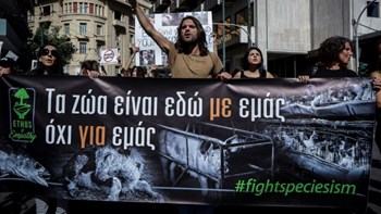 Πορεία για τα δικαιώματα των ζώων στο κέντρο της Αθήνας