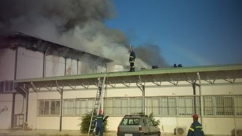 Τραγική η κατάσταση των πυρόπληκτων φοιτητών του πανεπιστημίου Κρήτης – Δεν έχουν λάβει τα χρήματα της ενίσχυσης και φιλοξενούνται σε ακατάλληλες υποδομές