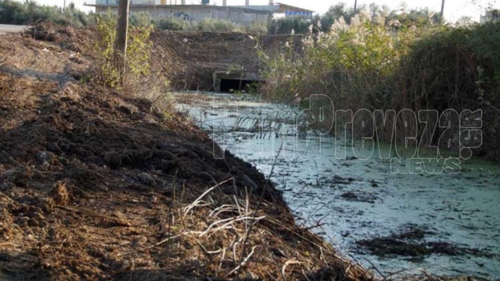 Συνεχίζεται το θρίλερ με το ανθρώπινο κρανίο που εντοπίστηκε στην Πρέβεζα – Τι εξετάζει η ΕΛ.ΑΣ.