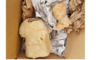 Κατασχέσεις αρχαίων, όπλων και ναρκωτικών από την ΑΑΔΕ