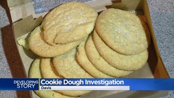 Φρίκη: Μαθήτρια κέρασε τους συμμαθητές της μπισκότα από την τέφρα των παππούδων της – ΒΙΝΤΕΟ