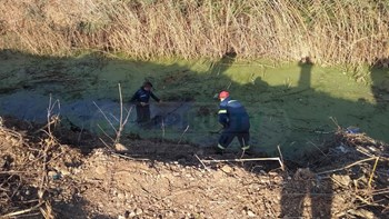 “Χτενίζουν” ξανά το σημείο που βρέθηκε το κρανίο στην Πρέβεζα – ΦΩΤΟ – ΒΙΝΤΕΟ