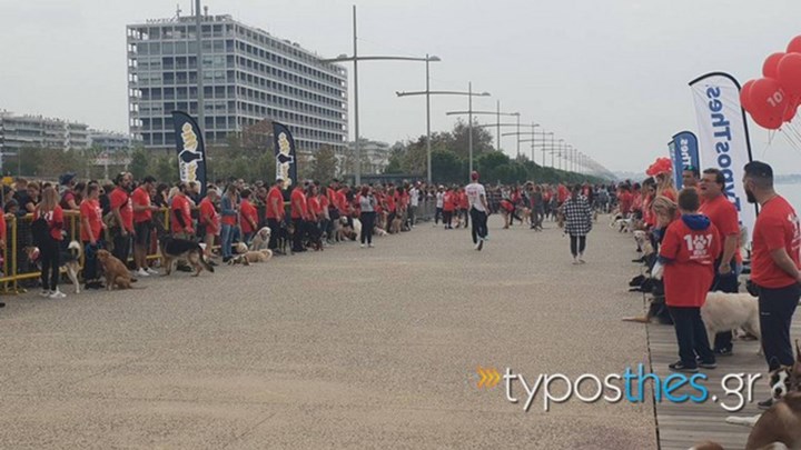 Η Νέα Παραλία Θεσσαλονίκης «πλημμύρισε» με… 101 σκυλιά – ΦΩΤΟ
