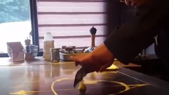 Όταν κάνεις …τέχνη, μαγειρεύοντας ένα αυγό-ΒΙΝΤΕΟ