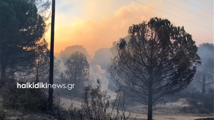 Ανεξέλεγκτη η φωτιά στη Χαλκιδική – Οικισμοί χωρίς ρεύμα και τηλέφωνο, κλειστοί δρόμοι – ΦΩΤΟ – ΒΙΝΤΕΟ
