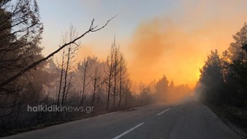 Αντιδήμαρχος Σιθωνίας για τη φωτιά: Η κατάσταση είναι δύσκολη και το μέτωπο μεγάλο