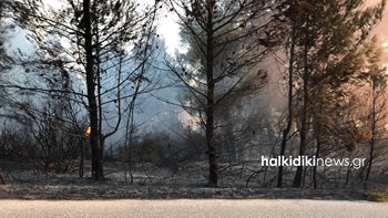 Κλειστή η επαρχιακή οδός της Σιθωνίας από τη μεγάλη φωτιά