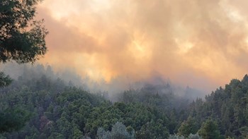 Πρόεδρος Κοινότητας Σάρτης στον Realfm 97,8: Δύσκολη η κατάσταση- Η φωτιά μαίνεται ανεξέλεγκτη