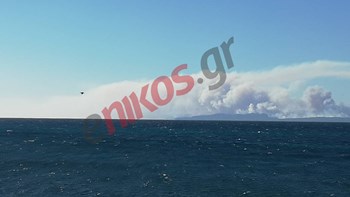 Φωτογραφία αναγνώστη από τη φωτιά στη Σιθωνία