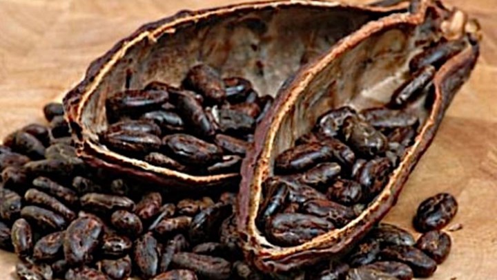 Παλαιότερη κατά 1.500 χρόνια η καταγωγή της σοκολάτας