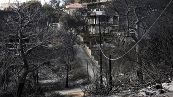 WWF: Ανέτοιμη η Ελλάδα στην αντιμετώπιση μεγάλων πυρκαγιών