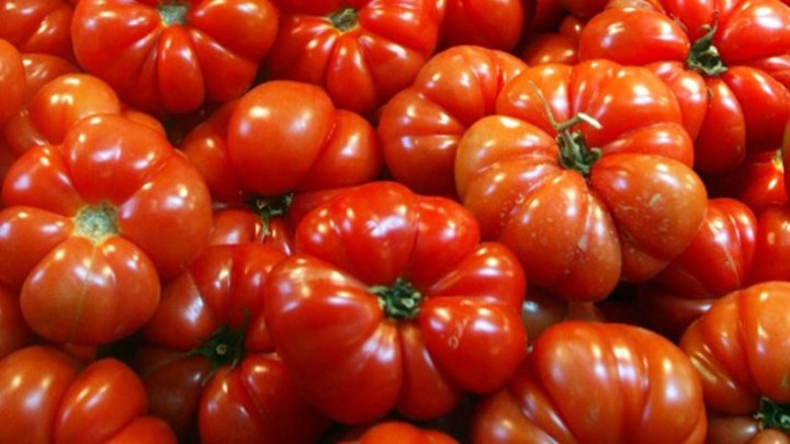 Κατασχέθηκαν 966 κιλά ντομάτες- δηλητήριο