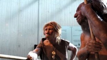 Σε παιδικά δόντια Νεάντερταλ 250.000 ετών αποκαλύφθηκε η αρχαιότερη έκθεση σε μόλυβδο