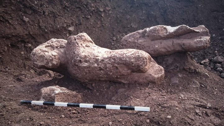 Οι φωτογραφίες από τον αρχαιολογικό θησαυρό που βρήκε αγρότης σε χωράφι της Φθιώτιδας – ΦΩΤΟ