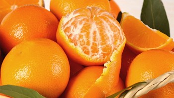 Δεσμεύθηκαν 4,2 τόνοι οπωροκηπευτικών σε επιχειρήσεις του Πειραιά