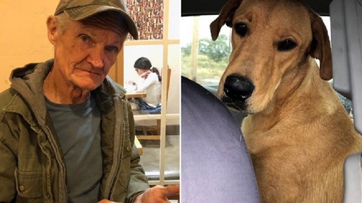 Πήγε για κυνήγι και τον… πυροβόλησε ο σκύλος του