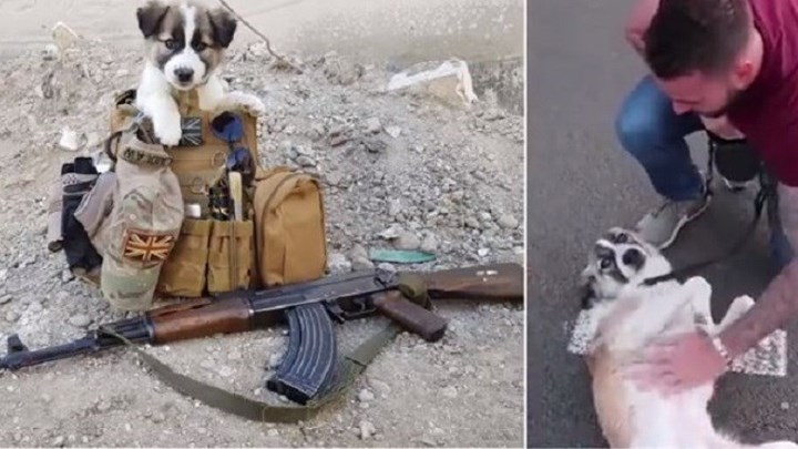 Η τρυφερή εξομολόγηση ενός πυροτεχνουργού στη Συρία: Ένας σκύλος με έσωσε από τη φρίκη – ΦΩΤΟ