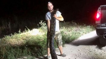 Έπιασαν πύθωνα “τέρας” στη Φλόριντα – ΦΩΤΟ