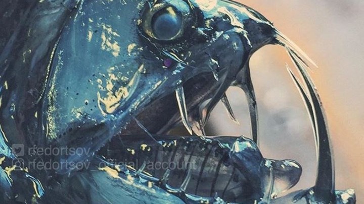 Ψαρεύει… εξωγήινα πλάσματα στην Αρκτική – ΦΩΤΟ