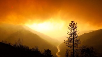 Η «Camp Fire» η πιο πολύνεκρη πυρκαγιά στην ιστορία των ΗΠΑ – 42 πτώματα έχουν ανασυρθεί μέχρι στιγμής στην Καλιφόρνια