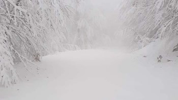 Εγκλωβίστηκαν 30 άνθρωποι σε καταφύγιο στην Κοζάνη
