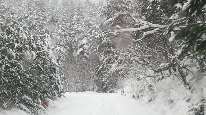 Λευκό τοπίο το Καταφύγι Βελβεντού – Επιχείρηση από εκχιονιστικό – ΦΩΤΟ