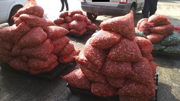 Πάνω από δύο τόνους ακατάλληλα όστρακα θα κατέληγαν στο πιάτο μας – ΦΩΤΟ