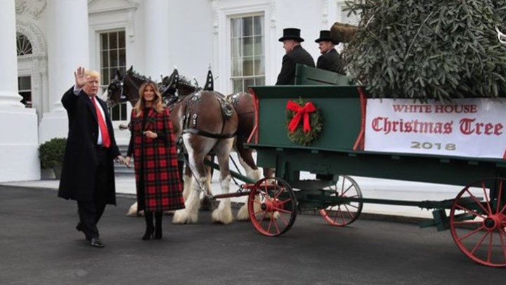 Το ζεύγος Τραμπ “υποδέχθηκε” το χριστουγεννιάτικο δέντρο στον Λευκό Οίκο – ΒΙΝΤΕΟ