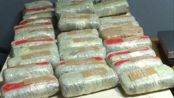 Τίποτα δεν ξεφεύγει από τη…μύτη του Nero – Εντόπισε πάνω από 19 κιλά ναρκωτικά – ΦΩΤΟ