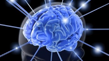 Έλληνας νευροεπιστήμονας ανακάλυψε άγνωστη περιοχή στον ανθρώπινο εγκέφαλο