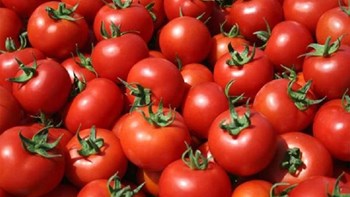 Κατασχέθηκαν 441 κιλά  ντομάτες – δηλητήριο