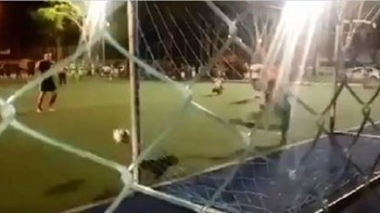 Σκύλος αποκρούει…πέναλτι και γίνεται viral – ΒΙΝΤΕΟ