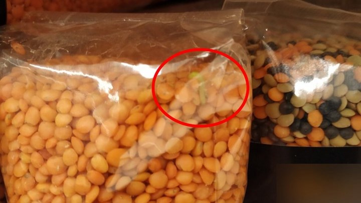 Ασύλληπτο περιστατικό σε σούπερ μάρκετ: Δείτε τι βρήκαν μέσα σε συσκευασμένες… φακές – ΒΙΝΤΕΟ