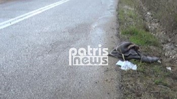 Νεκρή η ηλικιωμένη που παρασύρθηκε από ταξί – ΒΙΝΤΕΟ