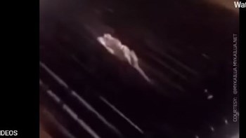 Εργαζόμενοι γνωστού εστιατορίου έψηναν αντί για μπέργκερ… αρουραίο – ΒΙΝΤΕΟ