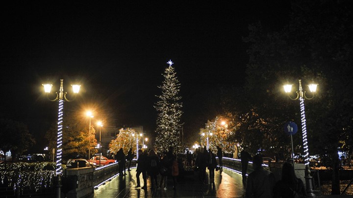 Φωταγωγήθηκε το ψηλότερο φυσικό χριστουγεννιάτικο δέντρο στην Ελλάδα – Δείτε πού βρίσκεται