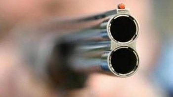 Τραγωδία στη Θεσπρωτία: 53χρονος ήθελε να θανατώσει ένα μοσχάρι, αλλά σκότωσε τον γείτονα