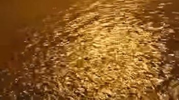 Εικόνες χάους από την κακοκαιρία στην Κύπρο – ΒΙΝΤΕΟ