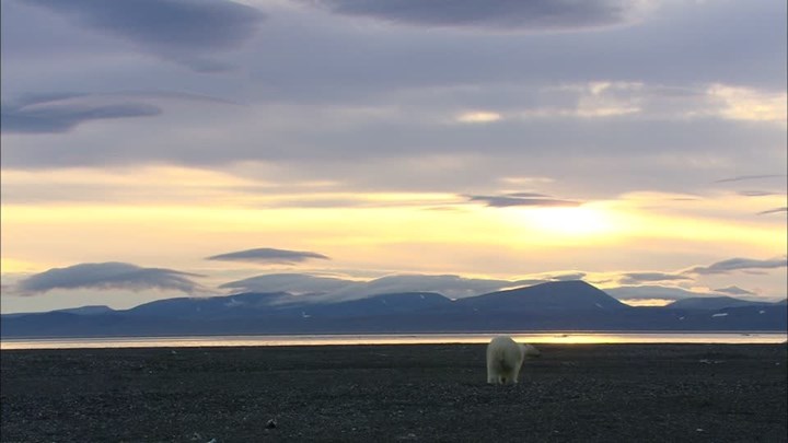 Το 2018 ήταν η δεύτερη πιο ζεστή χρονιά για την Αρκτική από το 1900