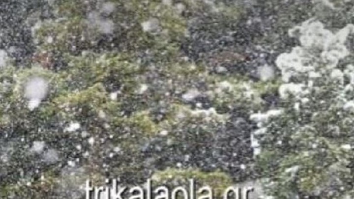 Στα λευκά “ντύθηκαν” τα Τρίκαλα – ΒΙΝΤΕΟ