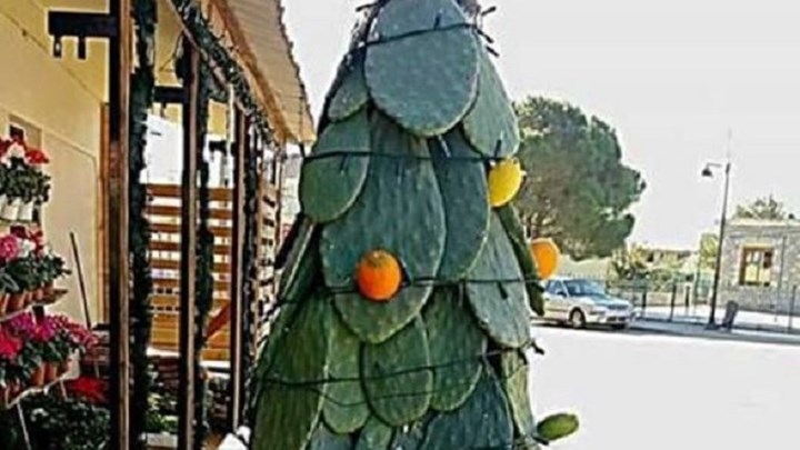 Δείτε το πιο περίεργο Χριστουγεννιάτικο δέντρο στην Ελλάδα – ΦΩΤΟ