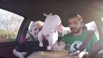 Η Ελένη Γερασιμίδου τα… σπάει σε τηλεοπτική εκπομπή – Μέχρι και κοτόπουλο καθάρισε μέσα σε αυτοκίνητο – ΒΙΝΤΕΟ