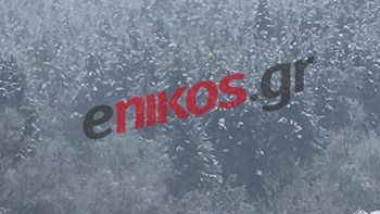 Λευκό τοπίο τα Γρεβενά – ΦΩΤΟ αναγνώστη