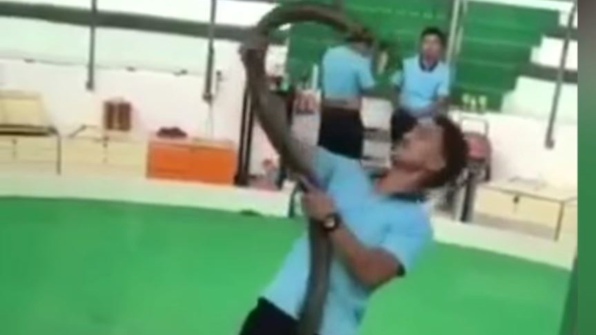 Τον δάγκωσε η κόμπρα την ώρα της… πρόβας – ΒΙΝΤΕΟ