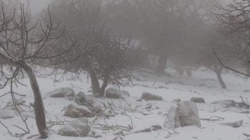 Έπεσαν τα πρώτα χιόνια στη Λέσβο – ΦΩΤΟ