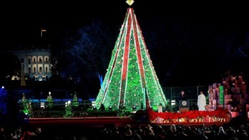 Σκόρπισε τον πανικό – Σκαρφάλωσε στο Χριστουγεννιάτικο δέντρο του Λευκού Οίκου – ΒΙΝΤΕΟ