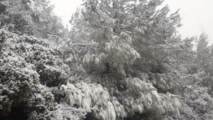 Χιονίζει ακόμη και και στη Λέσβο- ΦΩΤΟ-ΒΙΝΤΕΟ
