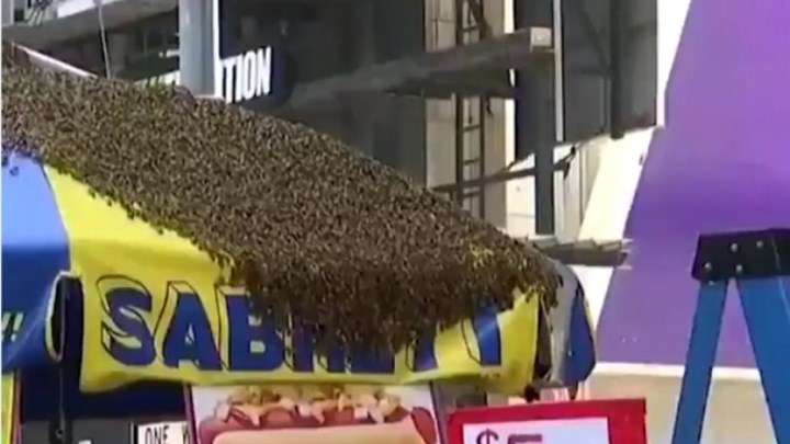 Αυτά είναι τα πιο… τρελά περιστατικά που συνέβησαν στις ΗΠΑ το 2018
