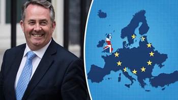 Υπουργός Εμπορίου Βρετανίας: 50-50 οι πιθανότητες να προχωρήσει το Brexit