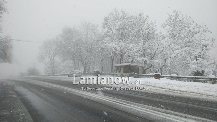Σφοδρή χιονόπτωση στον δρόμο Λαμίας-Δομοκού – Πού χρειάζονται αλυσίδες – ΦΩΤΟ – ΒΙΝΤΕΟ